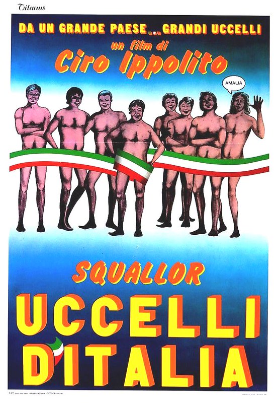 UCCELLI D’ITALIA